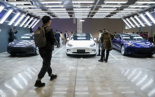 从特斯拉速度到上海速度 招商引资新标杆的诞生